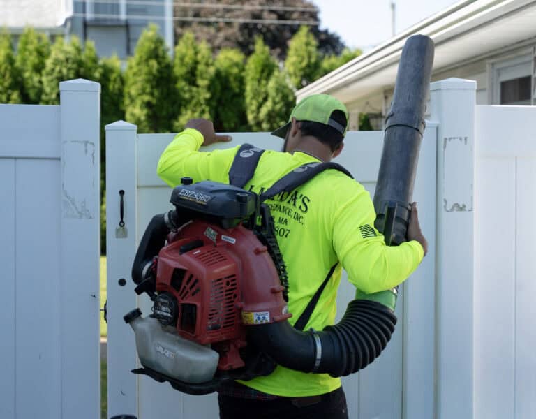 Almeidas Image Lawn Care