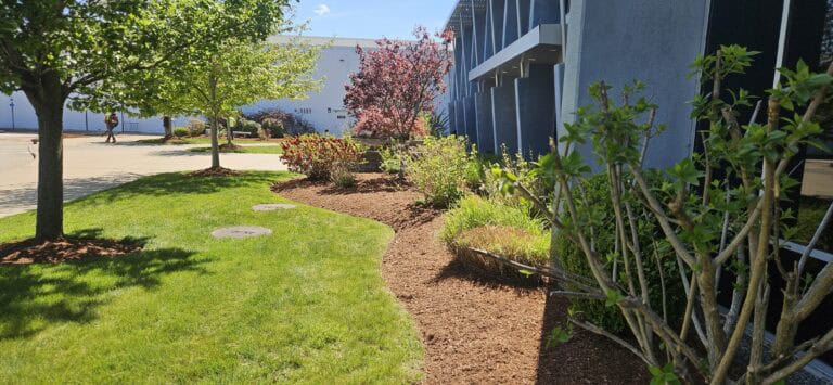 Almeidas Image Mulch