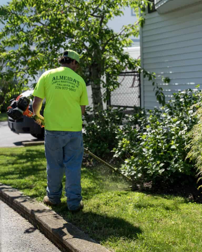 Almeidas Image Lawn Care