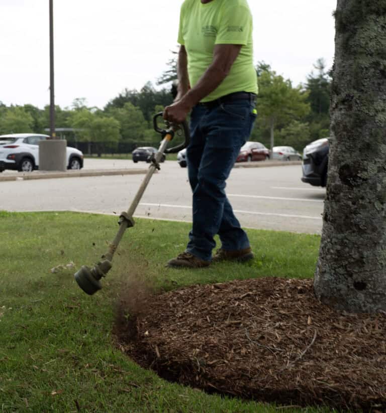 Almeidas Image Lawn Care