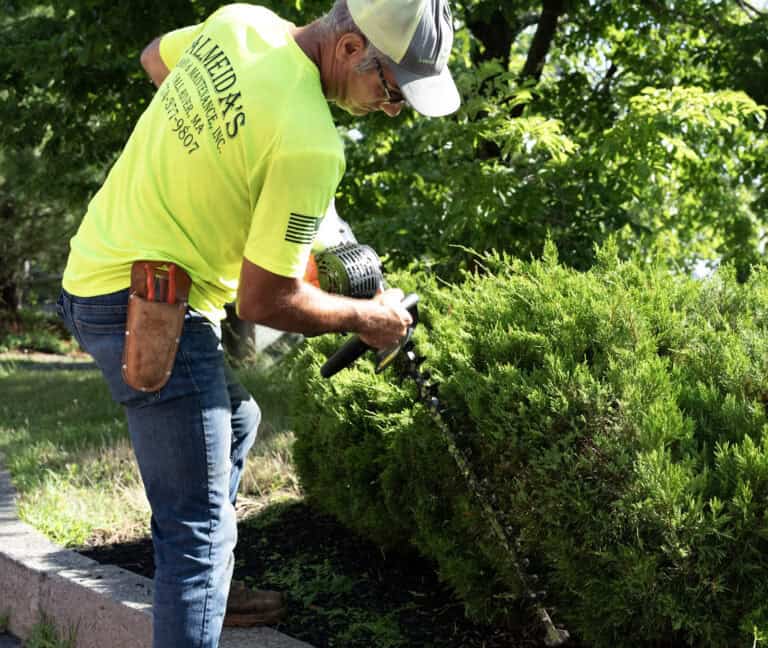 Almeidas Image Pruning