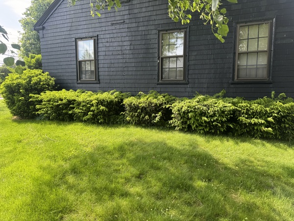 Almeidas Image Pruning