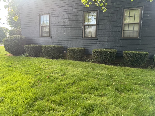 Almeidas Image Pruning